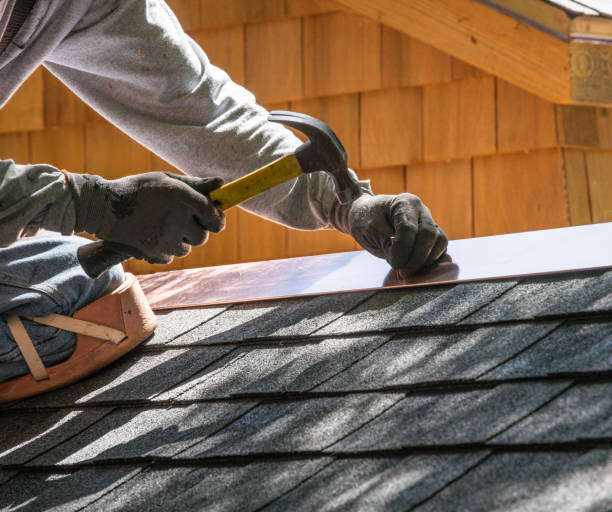 Roof Gutter Cleaning in Hillside, IL